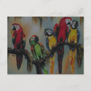 Parrots parlants ~ Carte postale