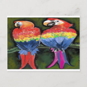 Parrots Postcard