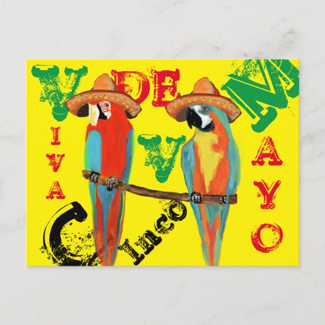 PARROTS POSTCARD (Front)