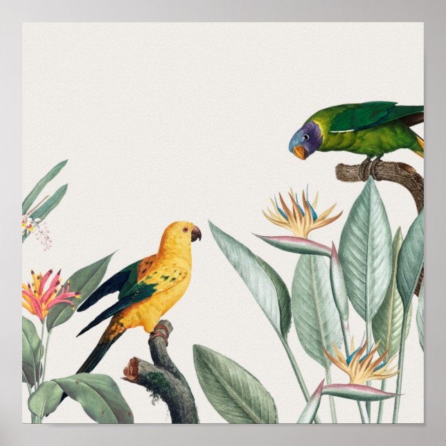 Parrots Poster (Front)
