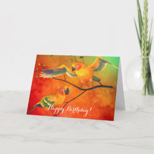 Parrots Sun Conures Birthday Card