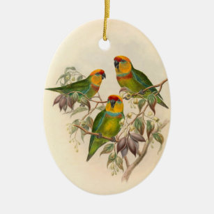 Parrots, Vintage, Bird Illustration, Bohemian Ceramic Ornament
