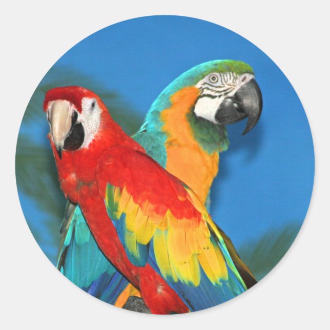 Parrots X Classic Round Sticker (Front)