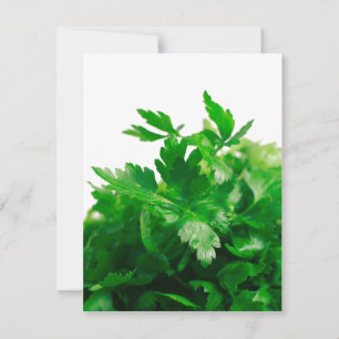 Parsley
