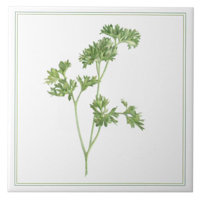 PARSLEY 6x6 FRAIS Carreaux en céramique (-texte) (Devant)