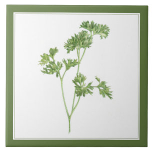 PARSLEY 6x6 FRAIS Carreaux en céramique (-texte ve