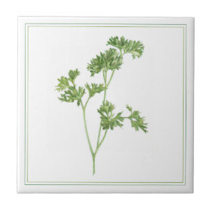 PARSLEY FRAIS 4.25x4.25 Carreaux en céramique (-te