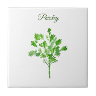 Parsley Herb Greenery Kitchen Culinary Green Chic Tile