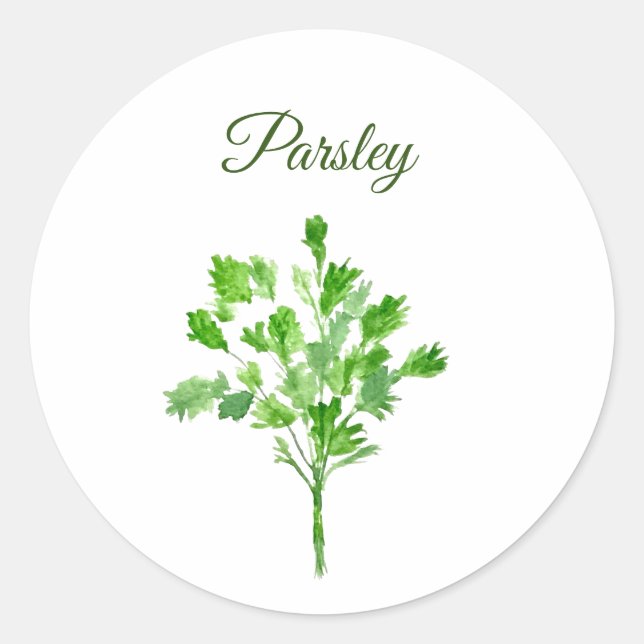 Parsley Herbs Watercolor Kitchen Culinary Green Classic Round Sticker (Front)