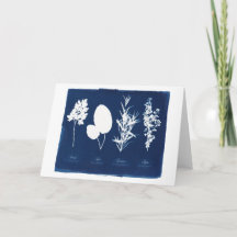 Parsley Sage Rosemary & Thyme Blank