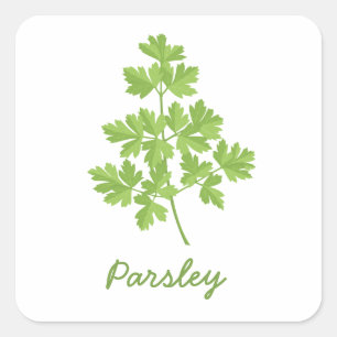 Parsley Square Sticker