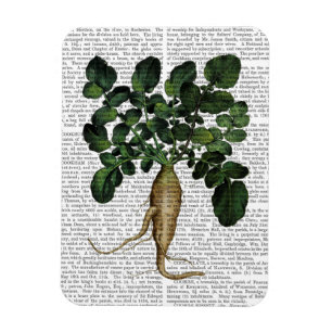 Parsnip 1 magnet