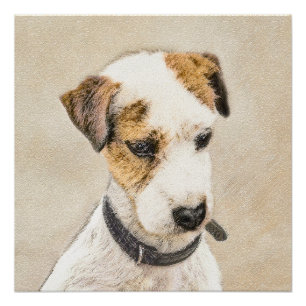 Parson Jack Russell Terrier Painting - Dog Art Poster