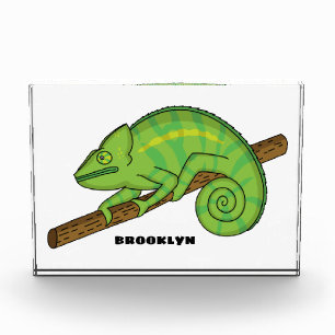 Parson's chameleon illustration photo block