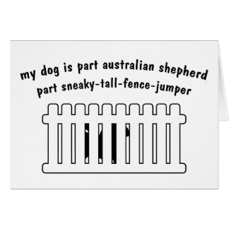 Part Australian Shepherd Part Fence-Jumper