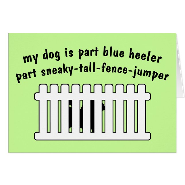 Part Blue Heeler Part Fence-Jumper (Front Horizontal)
