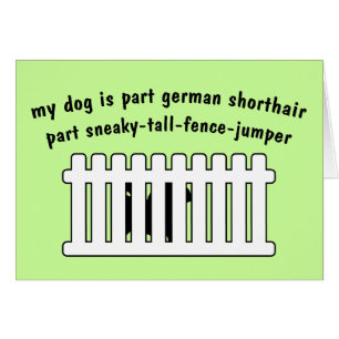 Part German Shorthair Part Fence-Jumper