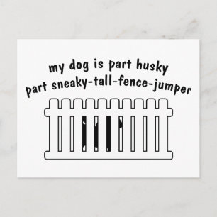 Part Husky Part Fence-Jumper Postcard