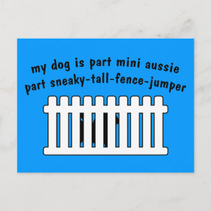 Part Mini Aussie Part Fence-Jumper Postcard