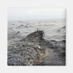 Part of an oil slick in the Gulf of Mexico Magnet