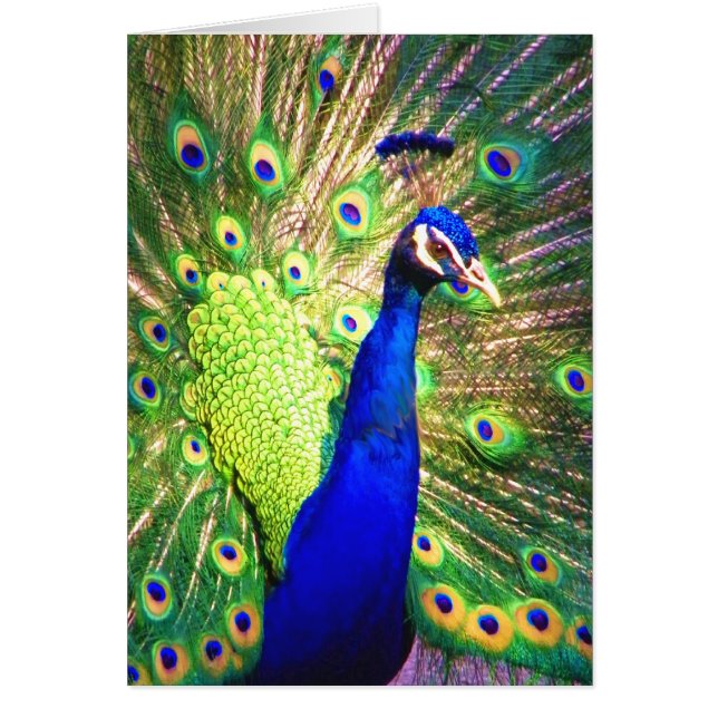 Partagez l'amour (Devant)