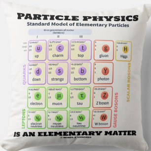Particle Physics Is An Elementary Matter Model Throw Pillow
