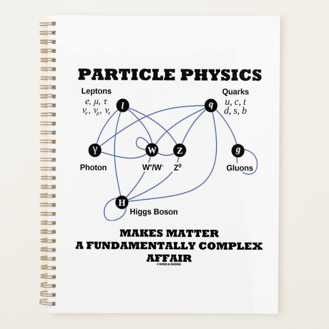 Particle Physics Makes Matter A Fundamentally Planner (Front)