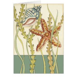 Partie Shell multicolore