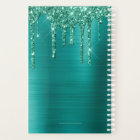 Parties scintillant Turquoise fille brossé métal 2