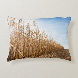 Partly Harvested Corn Field Accent Pillow