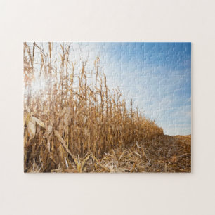 Partly Harvested Corn Field Jigsaw Puzzle