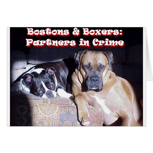 Partners in Crime (Front Horizontal)