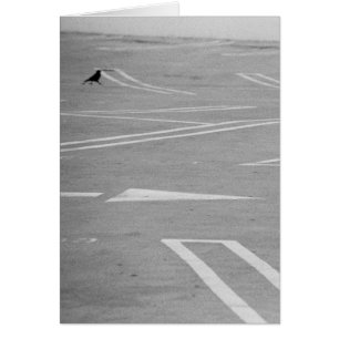 Partons de cette façon ! !