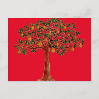 Partridge 2 in a Pear Tree Postcards