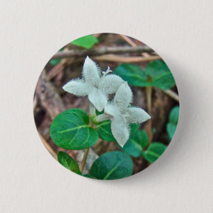 Partridge Berry Wildflower 2 Inch Round Button