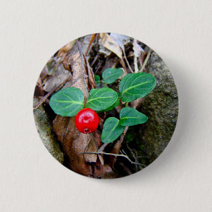 Partridge Berry Wildflower 2 Inch Round Button