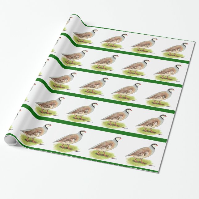 Partridge:  Chukar Wrapping Paper (Unrolled)
