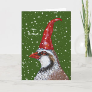 Partridge Gnome Christmas card
