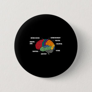 Parts of the brain anatomy colourful diagram 2 inch round button
