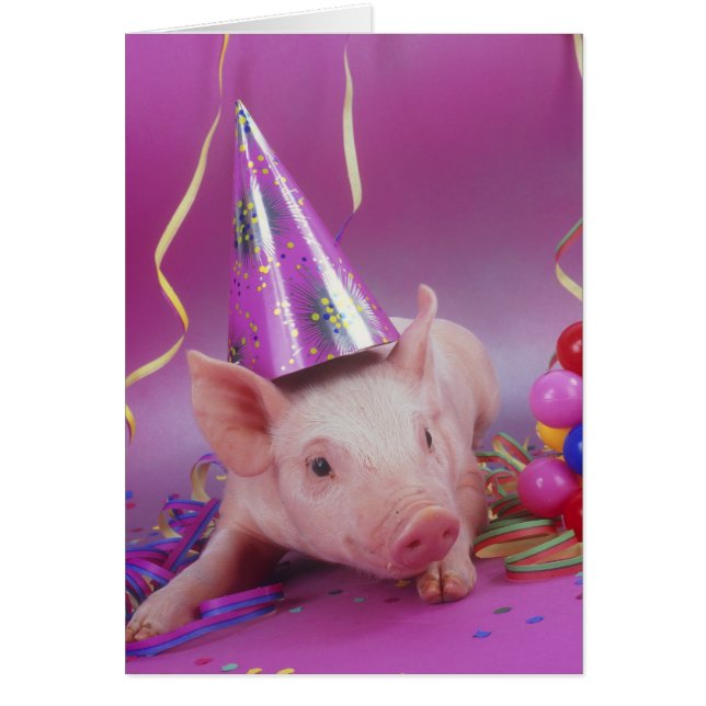 Party animal! (Devant)