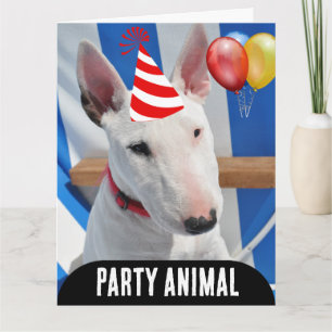 PARTY ANIMAL DOG FUNNY BIRTHDAY CARD