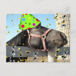 Party Animal Horse Invitation Postcard