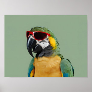 Party Animal Parrot in Red Glasses Poster