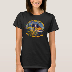 Party Anniversary Holiday 2024 Cocktail Singles T-Shirt