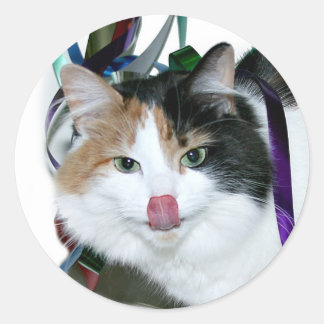 Party cat classic round sticker