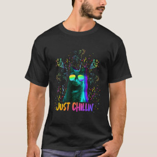 Party Cat Dj Mixer Party Animal Kitten T-Shirt