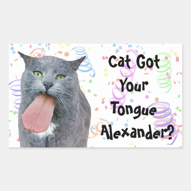 Party Cat Got Your Tongue? Sticker (Front)