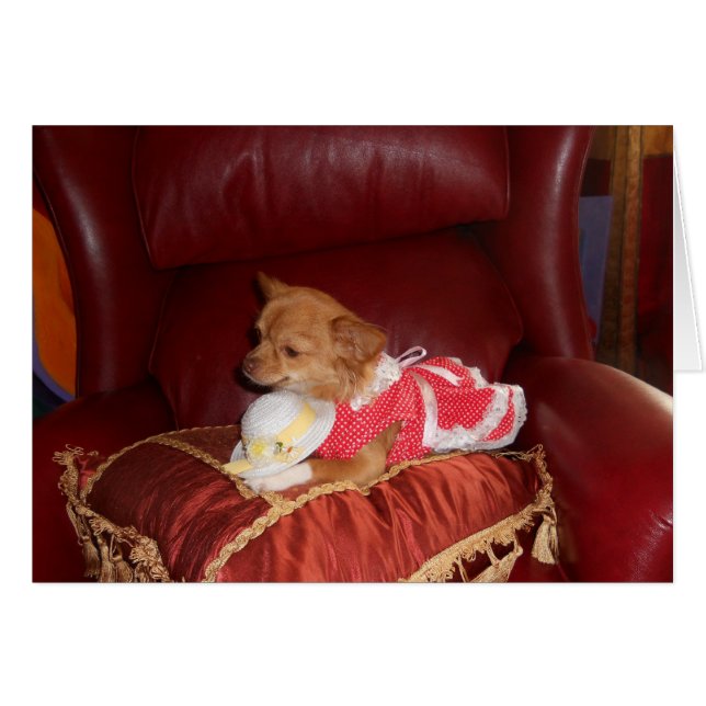 party chi card (Front Horizontal)