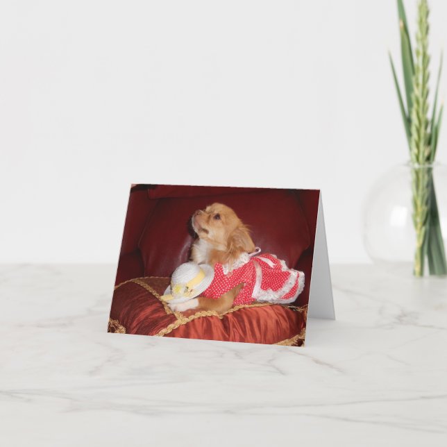 party chi card (Front)