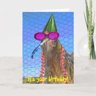Party Chicken Card